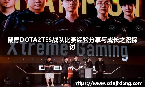 聚焦DOTA2TES战队比赛经验分享与成长之路探讨