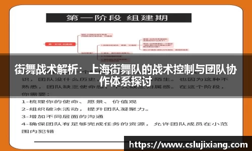 街舞战术解析：上海街舞队的战术控制与团队协作体系探讨